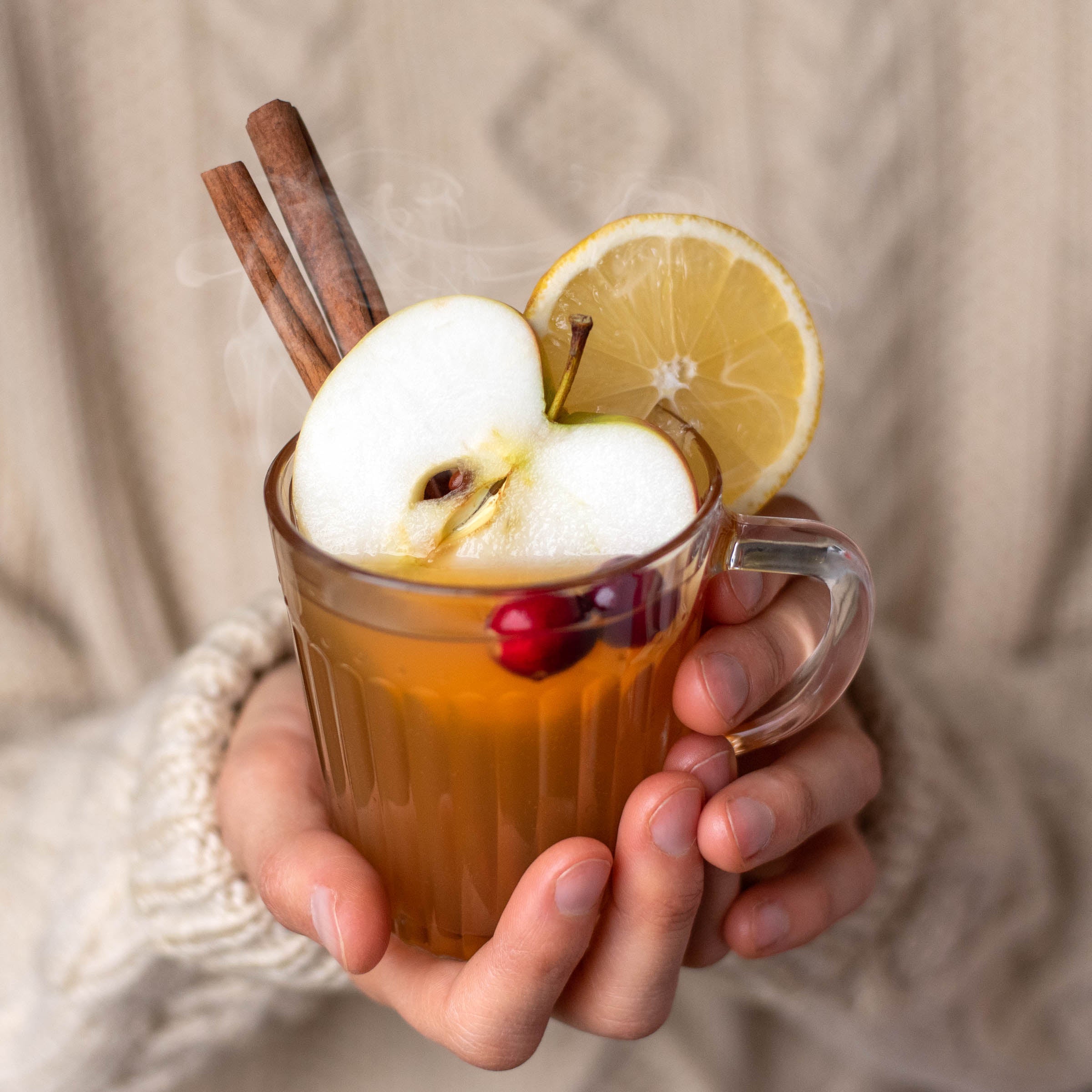 Nurturing Gut Health During the Holiday Season: A Guide to Happy and Healthy Celebrations