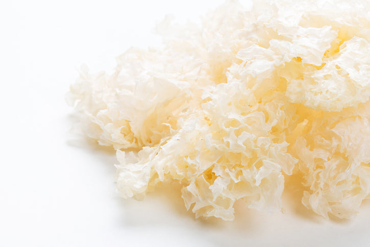 Benefits of Tremella Mushroom: How it Affects Skin Health