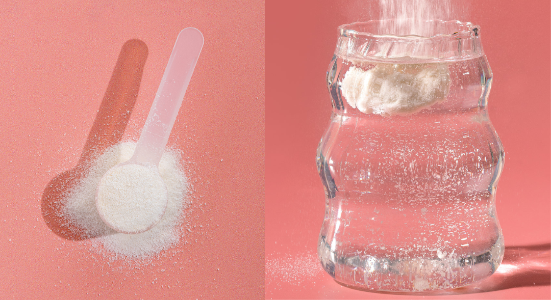 Prebiotic vs Probiotic for Gut Health: A Simple Guide to Digestive Wellness