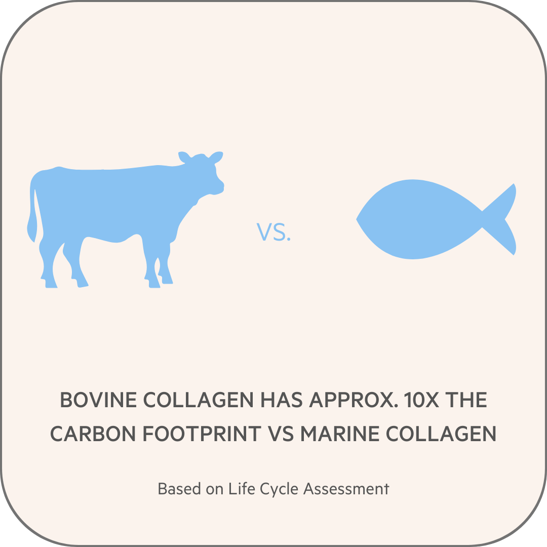 marine vs bovine sustainability infographic