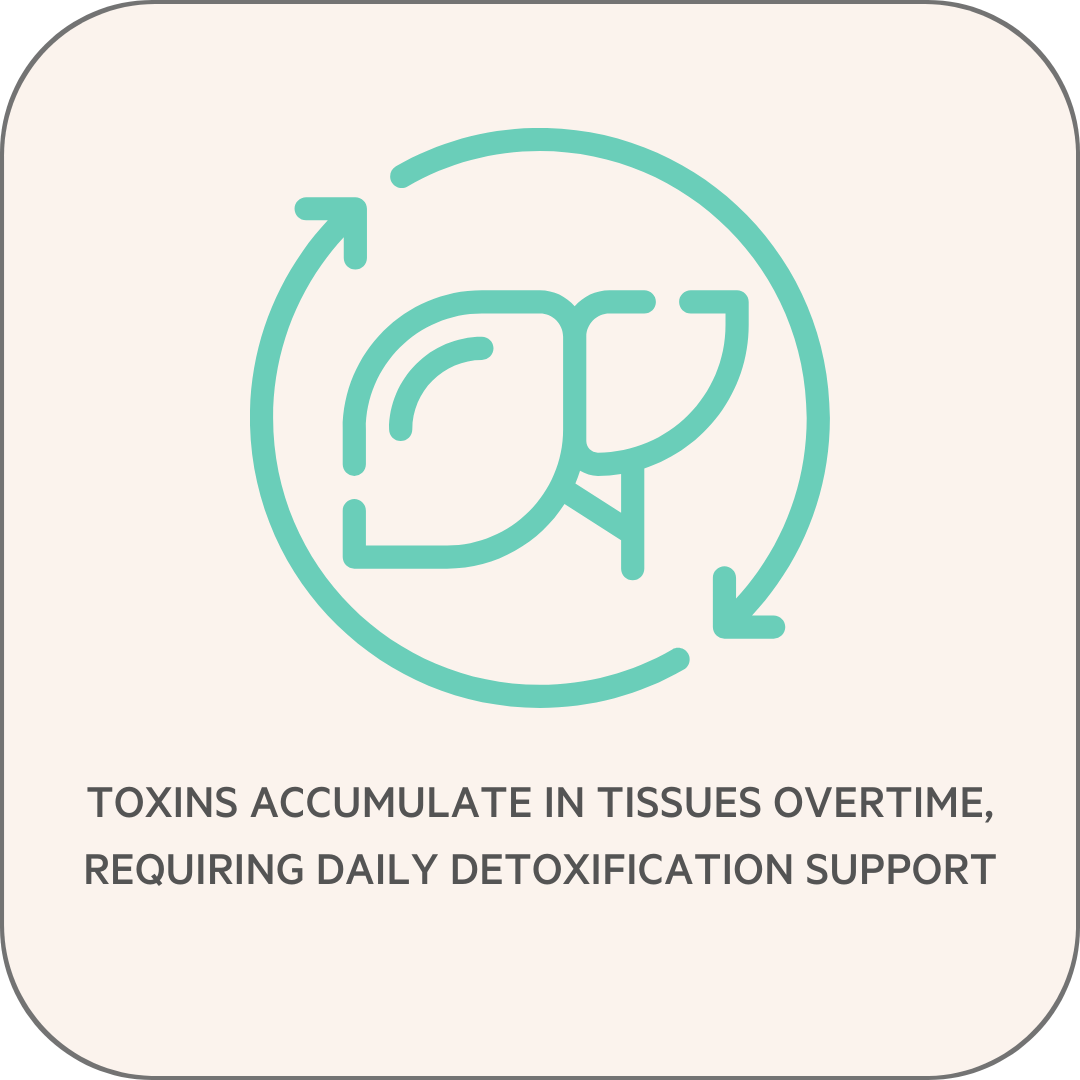 Inforgraphic on toxin accumulation in body.