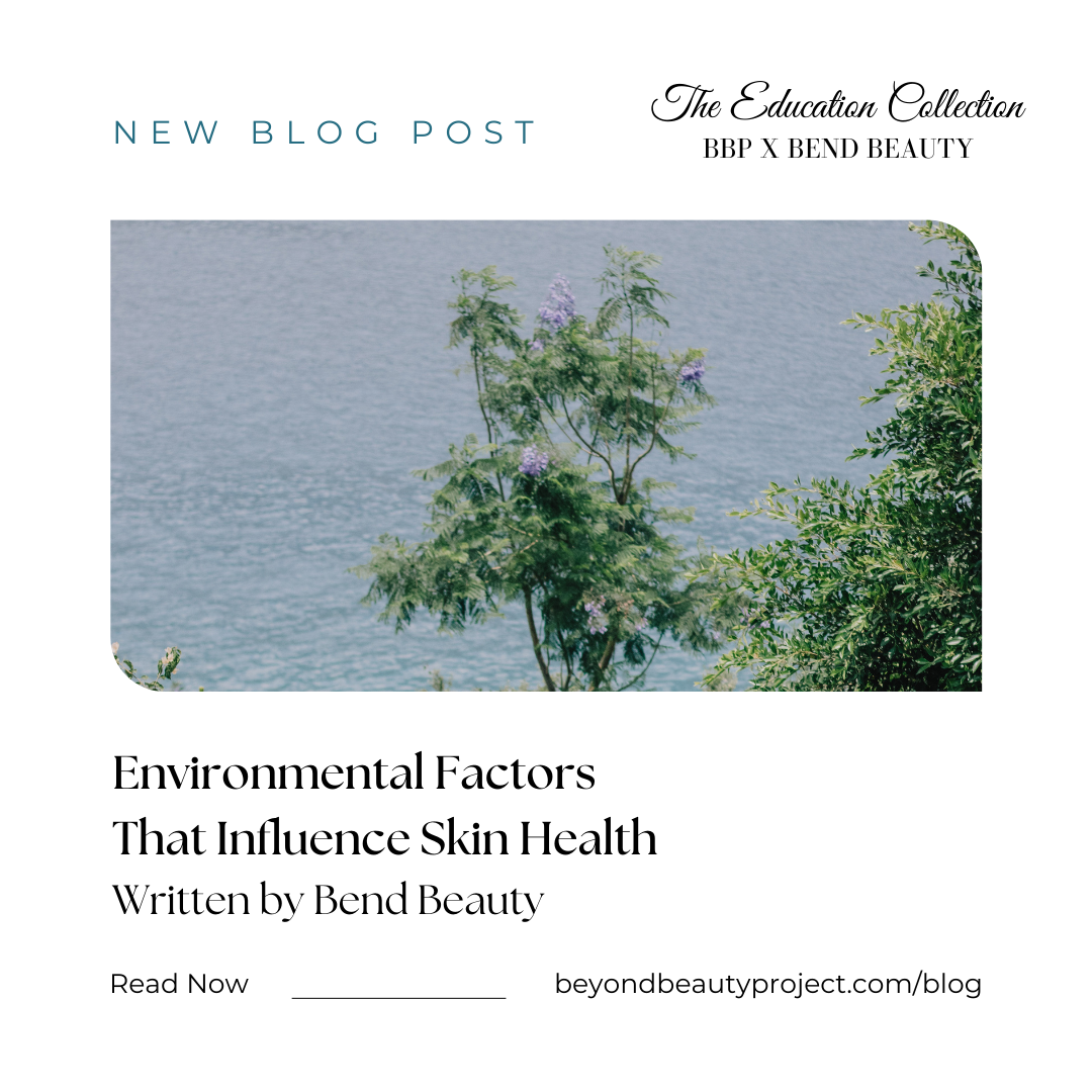 The Education Collection Part 3: Environmental Factors that Influence Skin Health