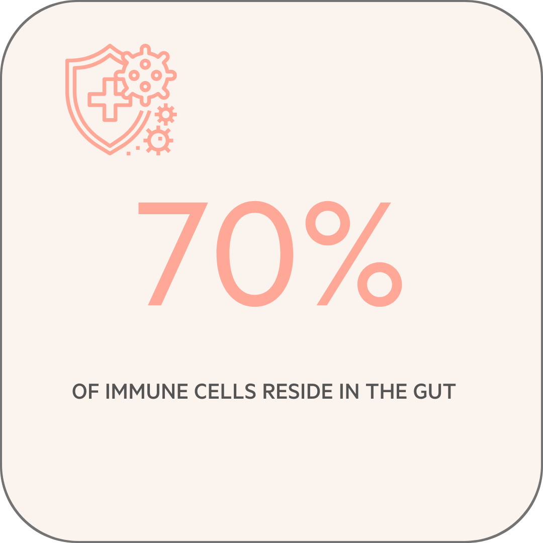 Infographic about the immune cells of the gut