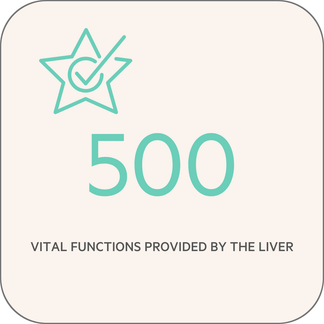 Infographic on 500 vital functions performed by the liver.